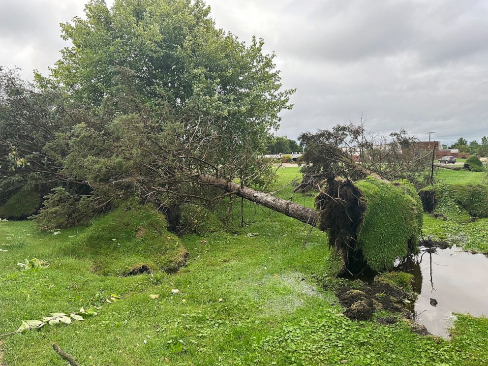 Thunderstorms leave Michigan and Ohio in Disarray